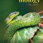 Foundation Science Biology 10th 00010