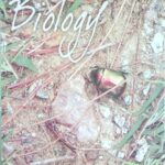 Ncert Biology 11th In English