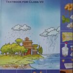 Ncert Science Class 7th In English