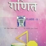 Brilliant Samanya ganit class 8